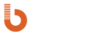 birnad-logo-white